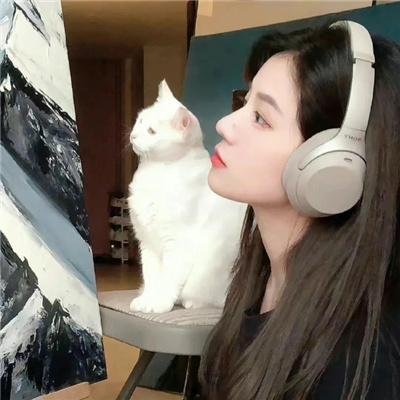 红色护卫