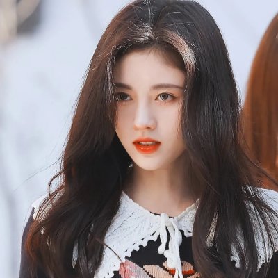 幼狮王朝